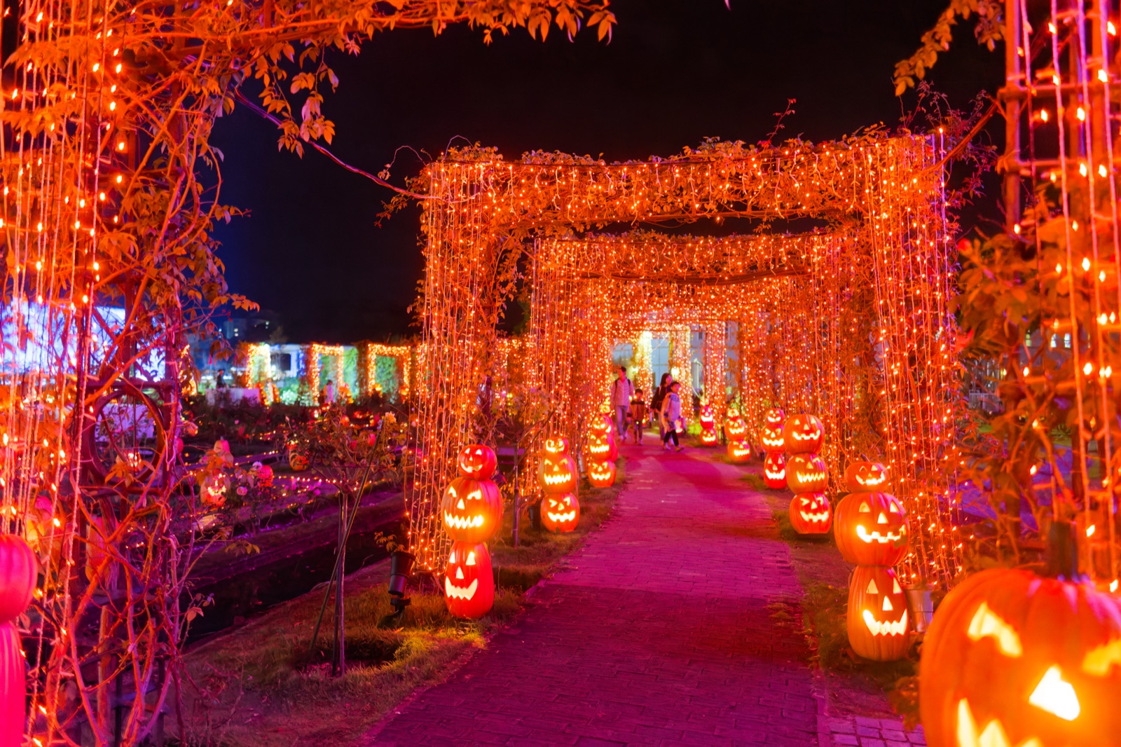 ハロウィンのかぼちゃのアーチ