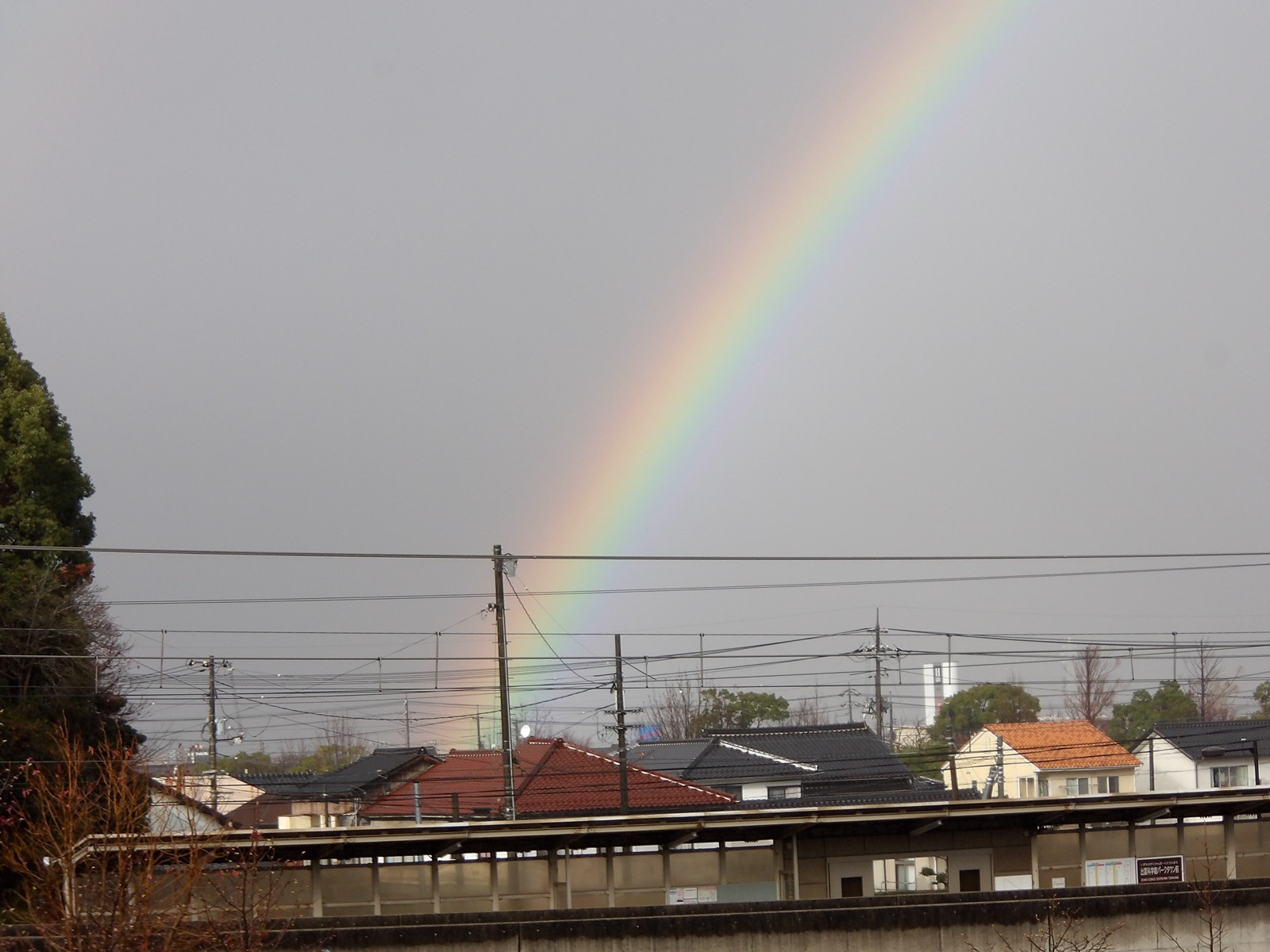 電線の向こうに見える虹