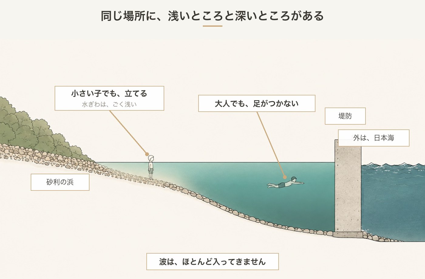 小伊津なぎさ公園の断面図。水ぎわは浅く、堤防に向かって深くなる