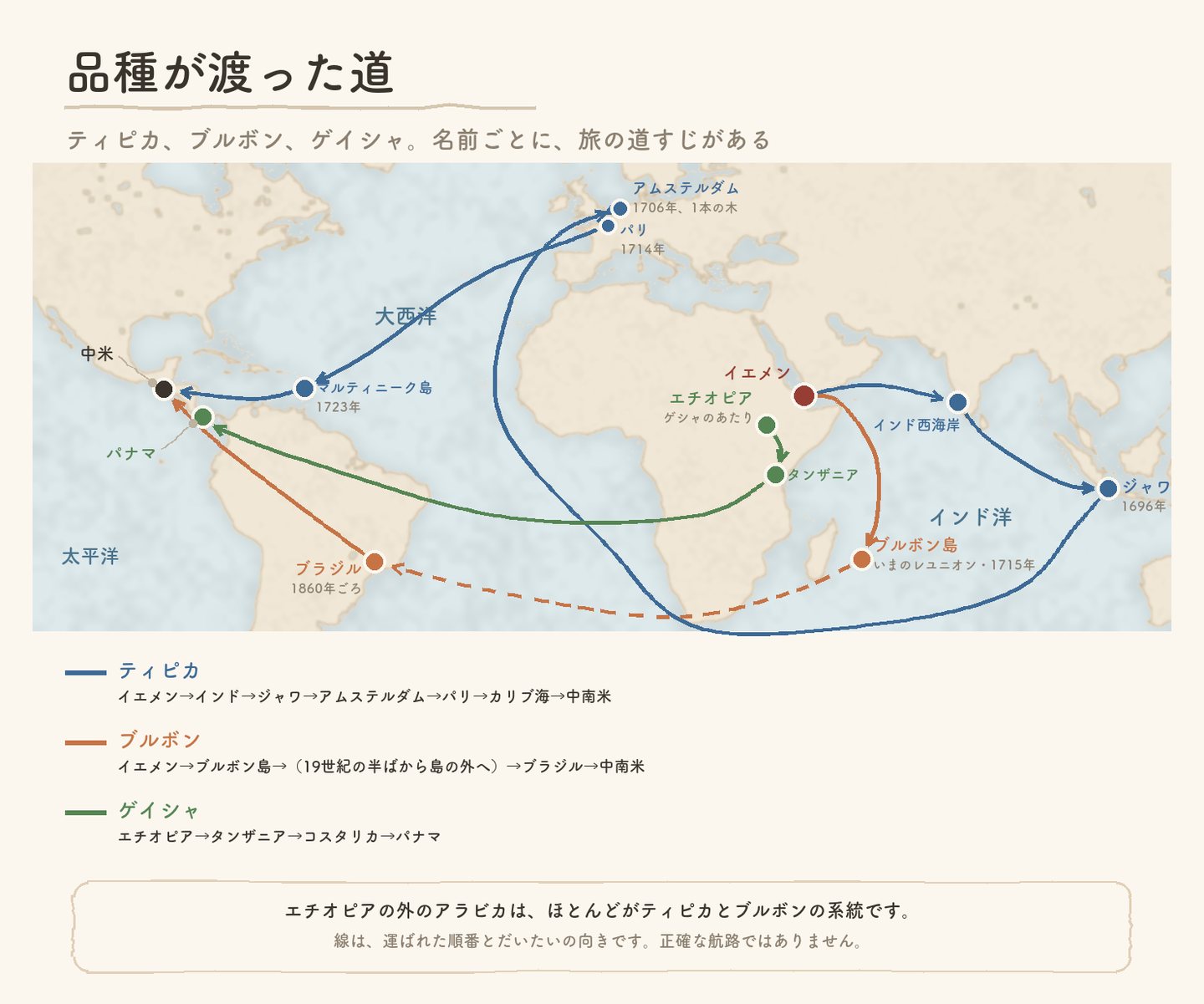 世界地図に描いた、品種が渡った道。ティピカはイエメンからインド、ジャワ、アムステルダム、パリ、マルティニーク島を経て中米へ。ブルボンはイエメンからブルボン島、ブラジルを経て中米へ。ゲイシャはエチオピアからタンザニア、コスタリカを経てパナマへ