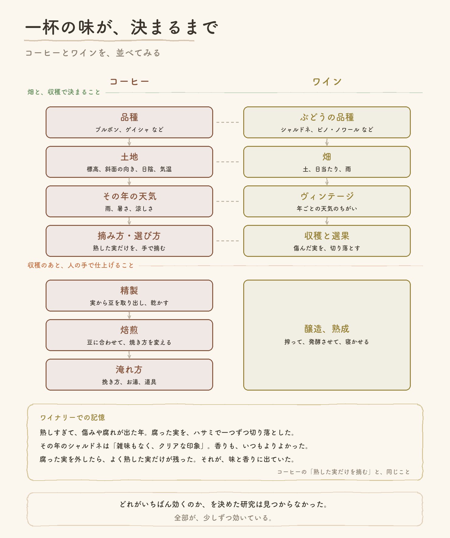 一杯の味が決まるまで。コーヒーの品種、土地、その年の天気、摘み方と選び方、精製、焙煎、淹れ方と、ワインのぶどうの品種、畑、ヴィンテージ、収穫と選果、醸造と熟成を並べた図と、ワイナリーでの選果の記憶