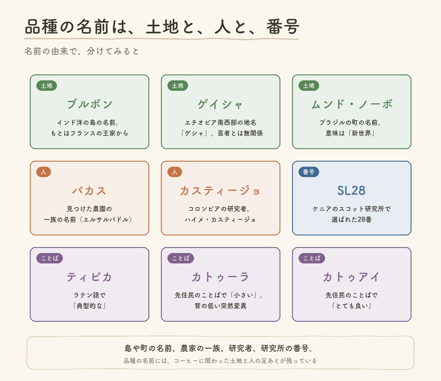 品種の名前の由来。土地の名前はブルボン、ゲイシャ、ムンド・ノーボ。人の名前はパカス、カスティージョ。番号はSL28。ことばはティピカ、カトゥーラ、カトゥアイ