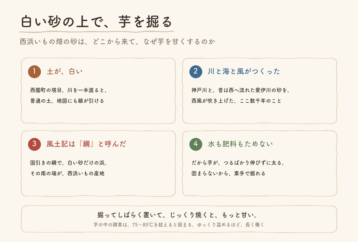 この記事の四つの話の図。土が白い、川と海と風がつくった、風土記は綱と呼んだ、水も肥料もためない。掘ってしばらく置いて、じっくり焼くと甘い