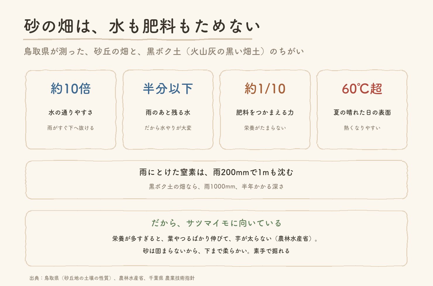 砂丘の畑と黒ボク土の比較。水の通りやすさは約10倍、雨のあと残る水は半分以下、肥料をつかまえる力は約10分の1、夏の晴れた日の表面は60℃超。雨にとけた窒素は雨200mmで1m沈む