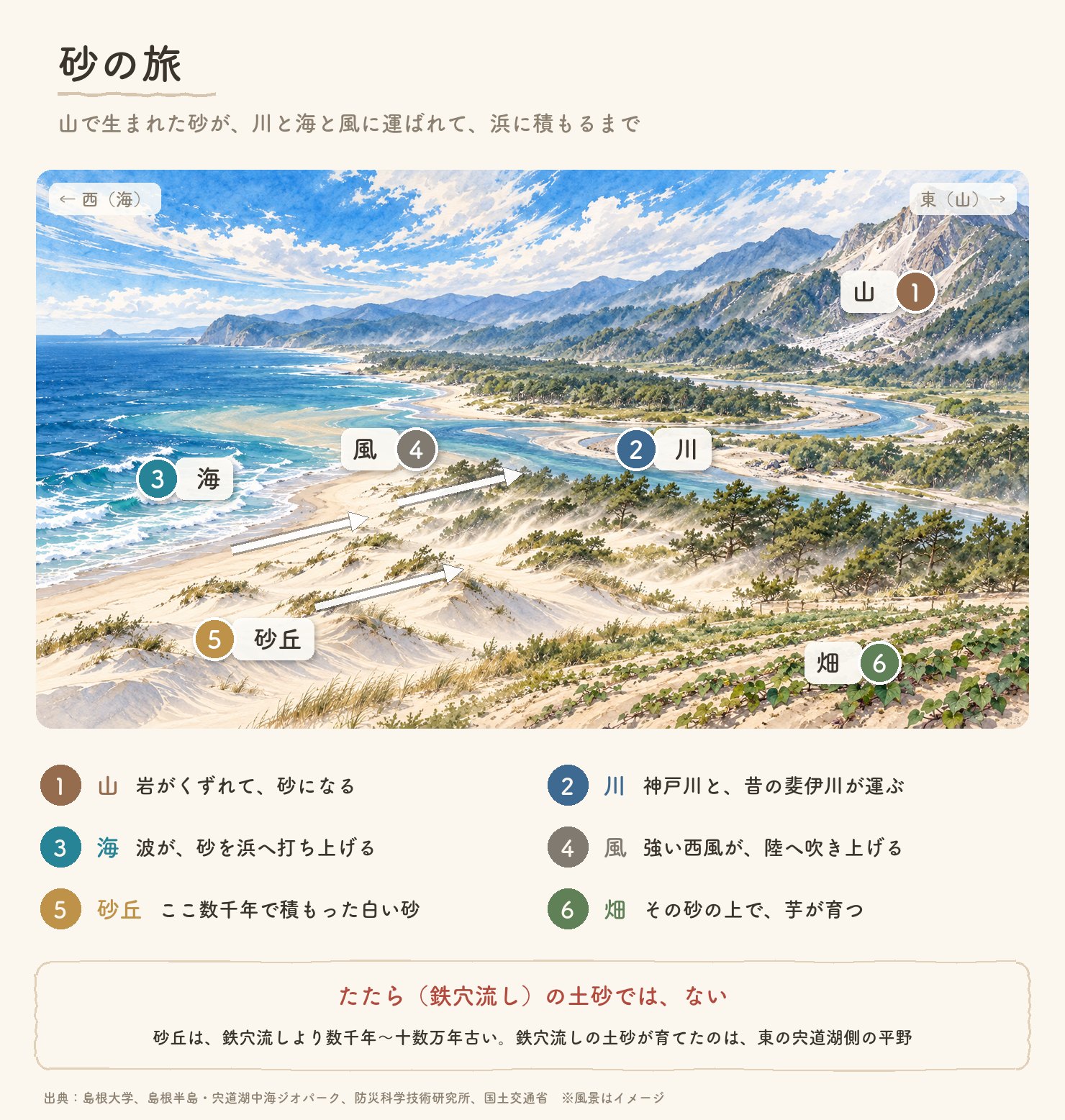砂の旅の図。山から海までの水彩の風景に、①山(岩がくずれて砂になる)②川(神戸川と昔の斐伊川が運ぶ)③海(波が砂を浜へ打ち上げる)④風(強い西風が陸へ吹き上げる)⑤砂丘(ここ数千年で積もった白い砂)⑥畑(その砂の上で芋が育つ)の番号と、海から陸へ吹く風の矢印を重ねた。たたらの鉄穴流しの土砂ではないという注記つき
