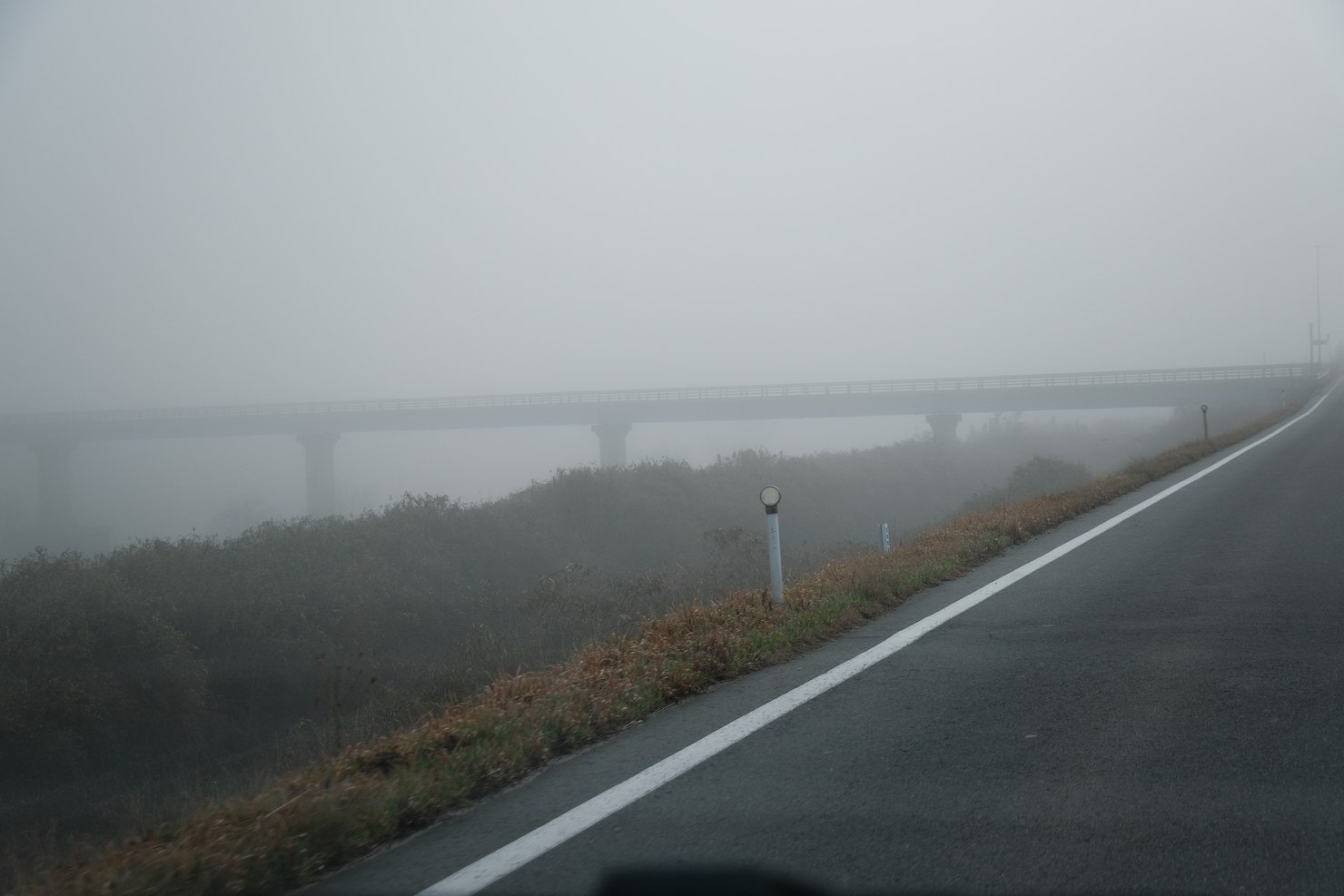 朝霧の中の道と、その先にかすむ橋。車の中から