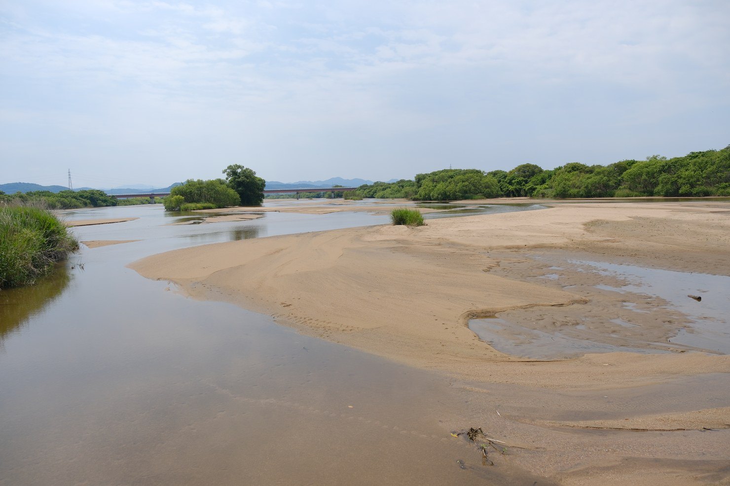 雨のあとの斐伊川。茶色く濁った水が砂の中州のあいだを流れている
