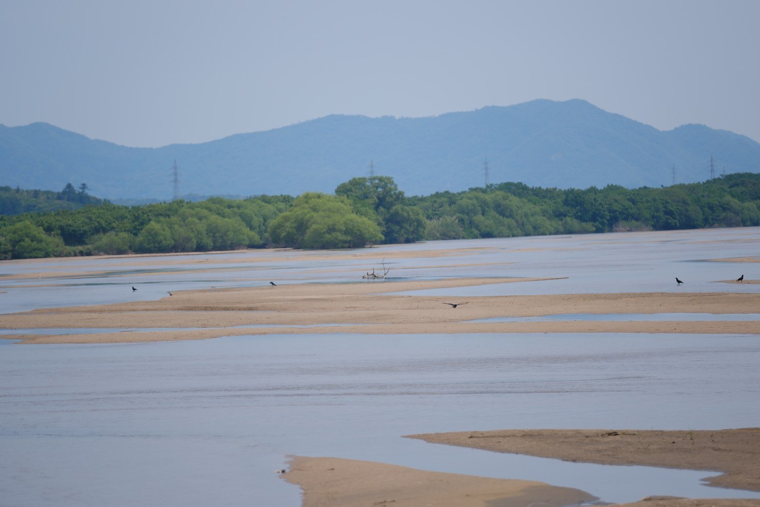 斐伊川の下流。砂の川原のあいだを水が細く分かれて流れ、遠くに赤い橋が架かる