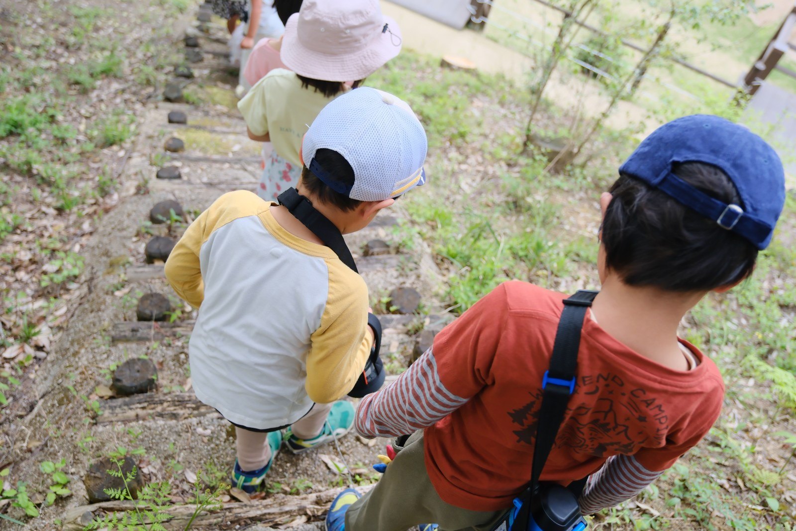 丸太の階段を列になって降りていく帽子姿の園児たち