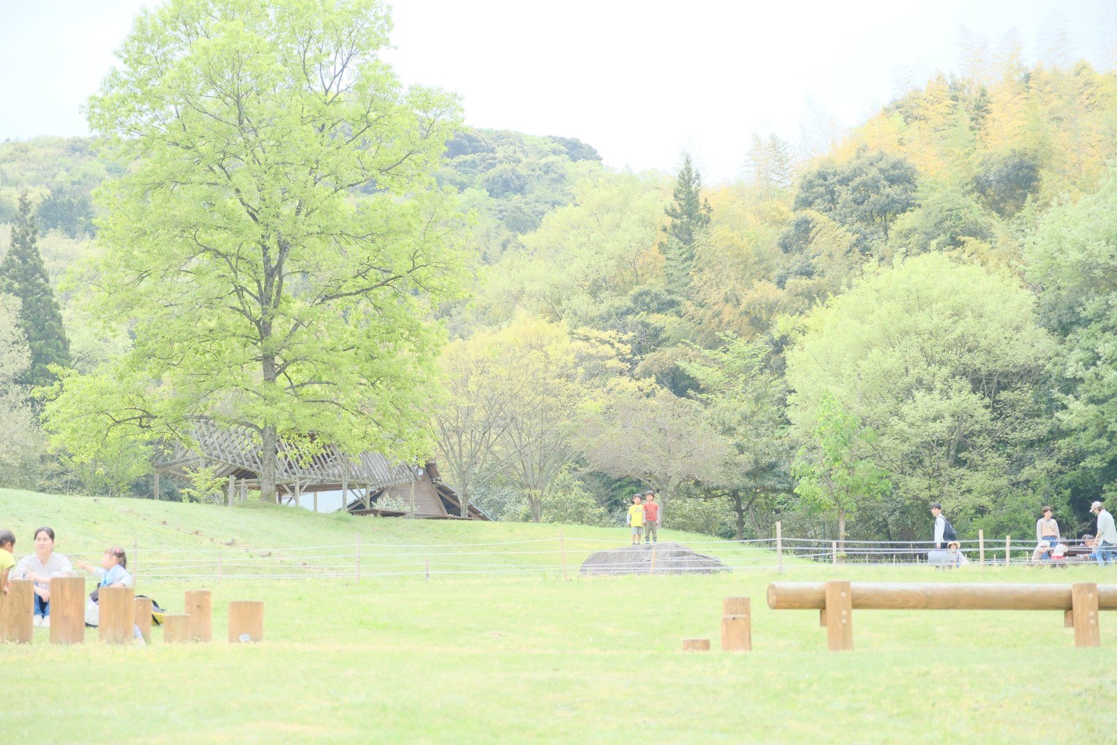 芝生の広場の奥に竪穴住居が見える荒神谷史跡公園
