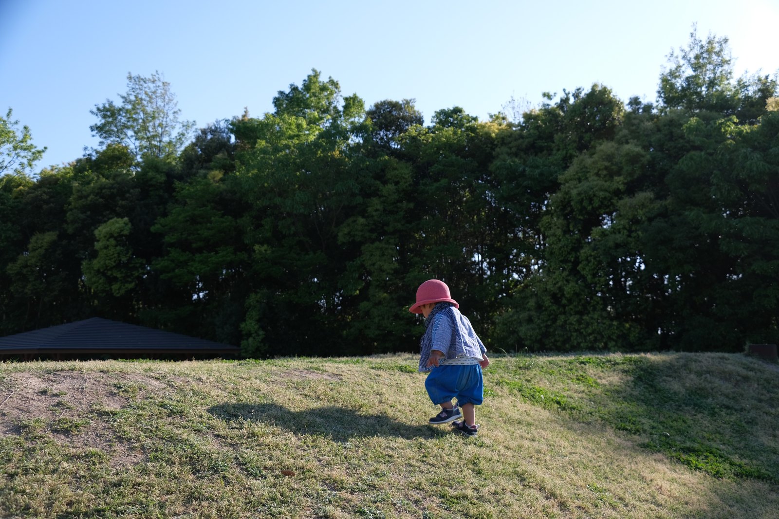 西谷墳墓群の墳丘を登る小さな子どもの後ろ姿