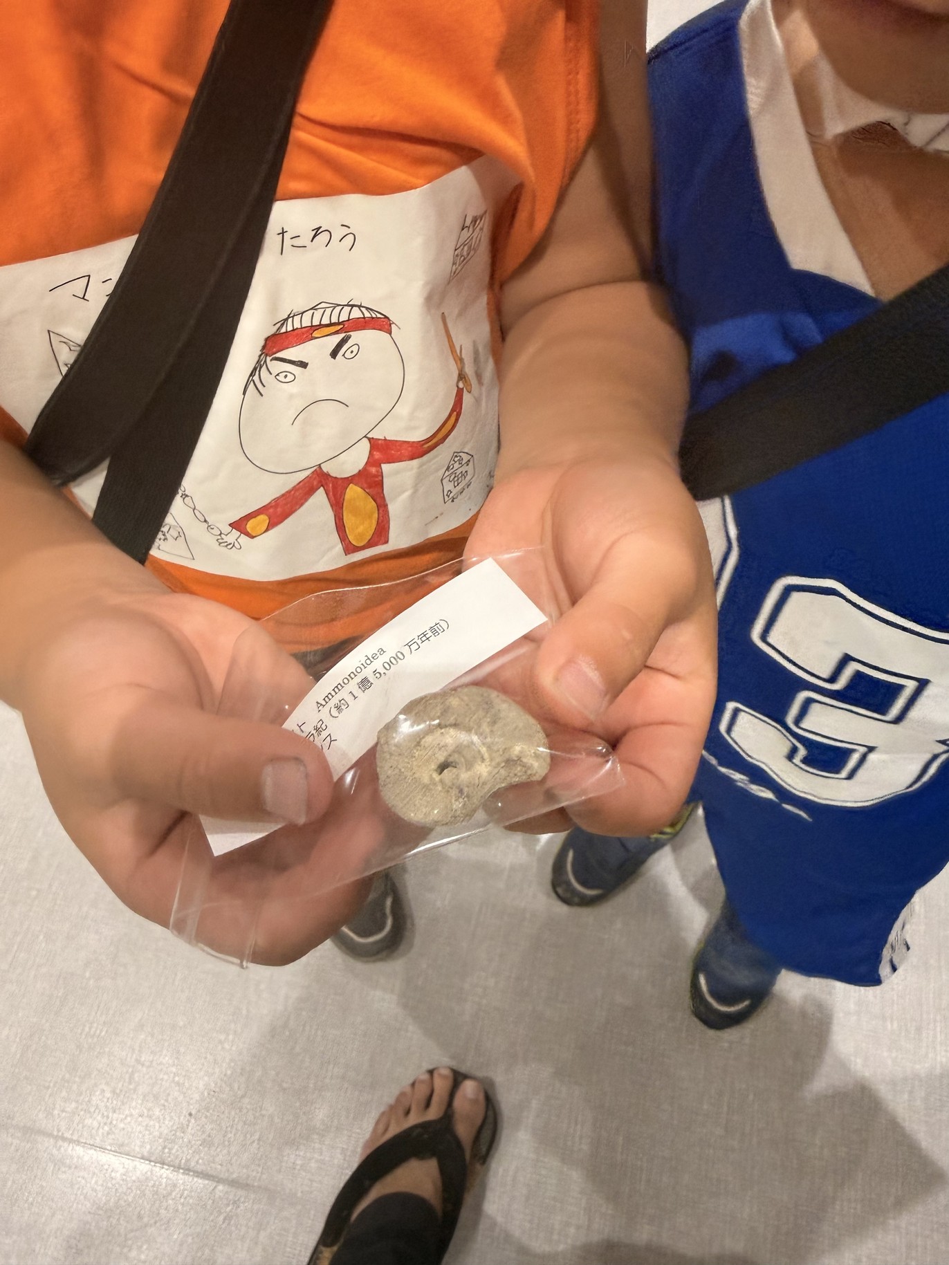 ジュラ紀のアンモナイト化石を手にする子ども