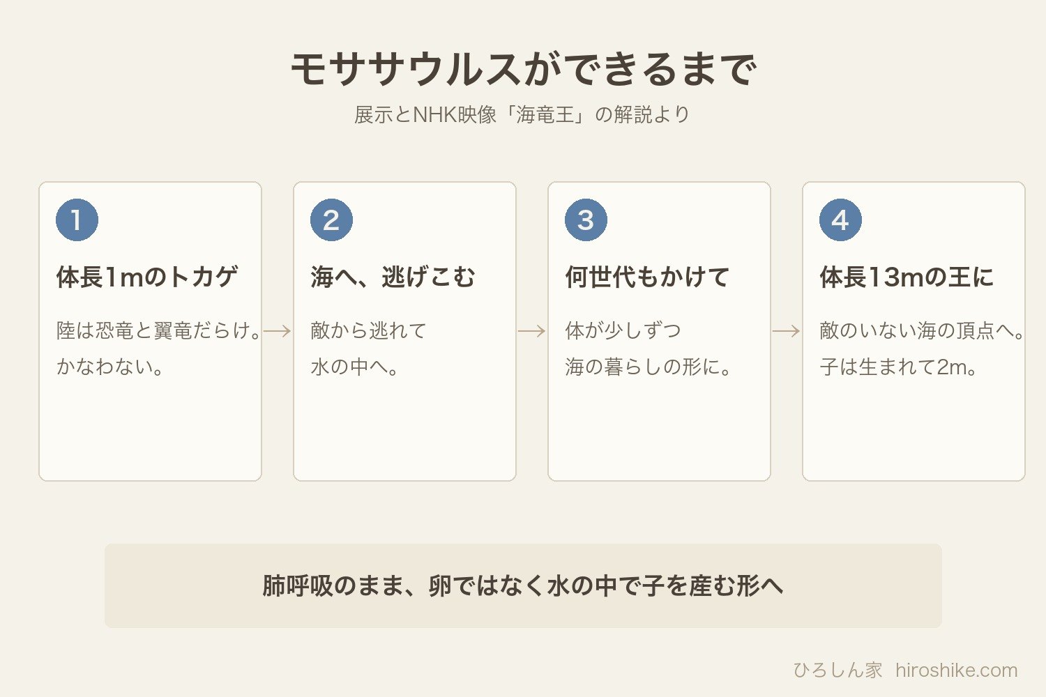 モササウルスができるまでの図解
