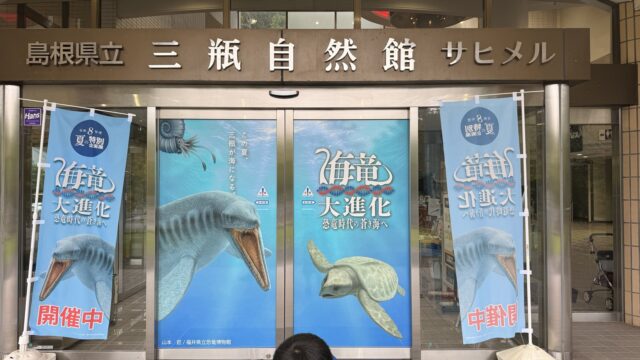 サヒメルの入口。海竜大進化ののぼりが並ぶ