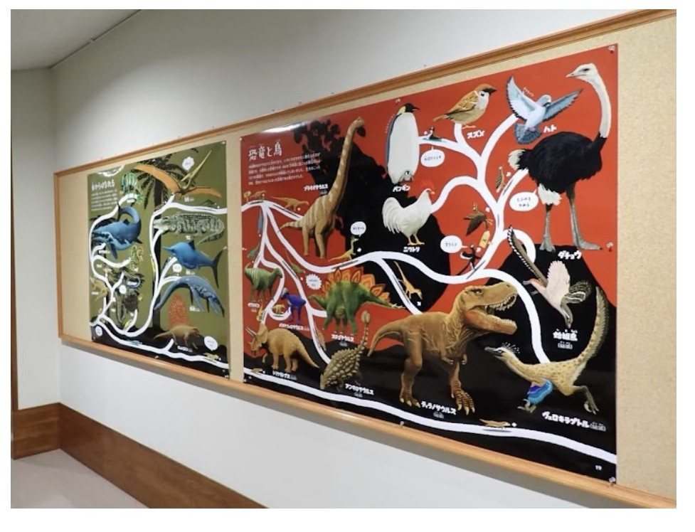 恐竜と鳥の系統樹の展示パネル
