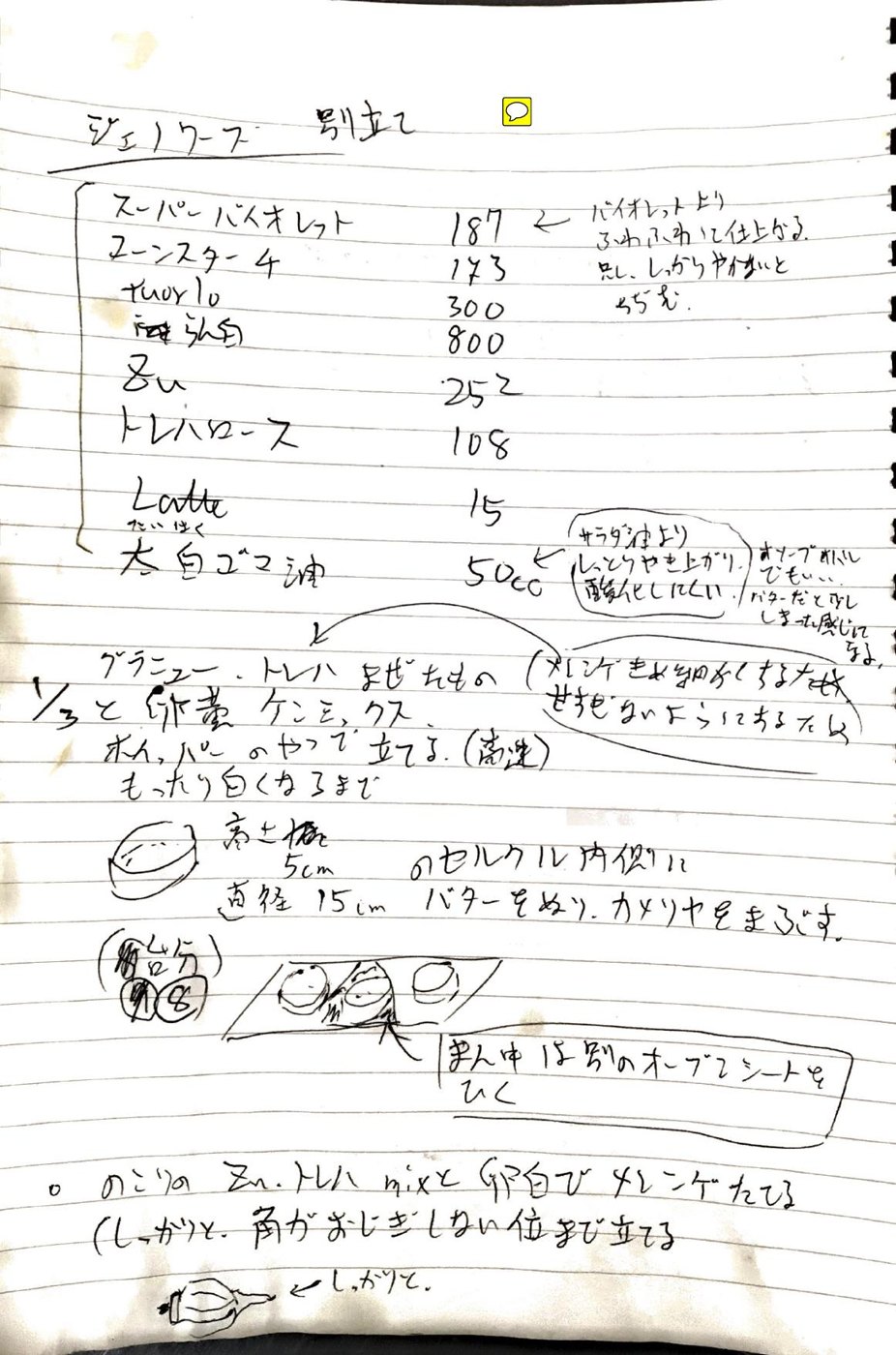白本の走り書きページ(分量・図・シミ)