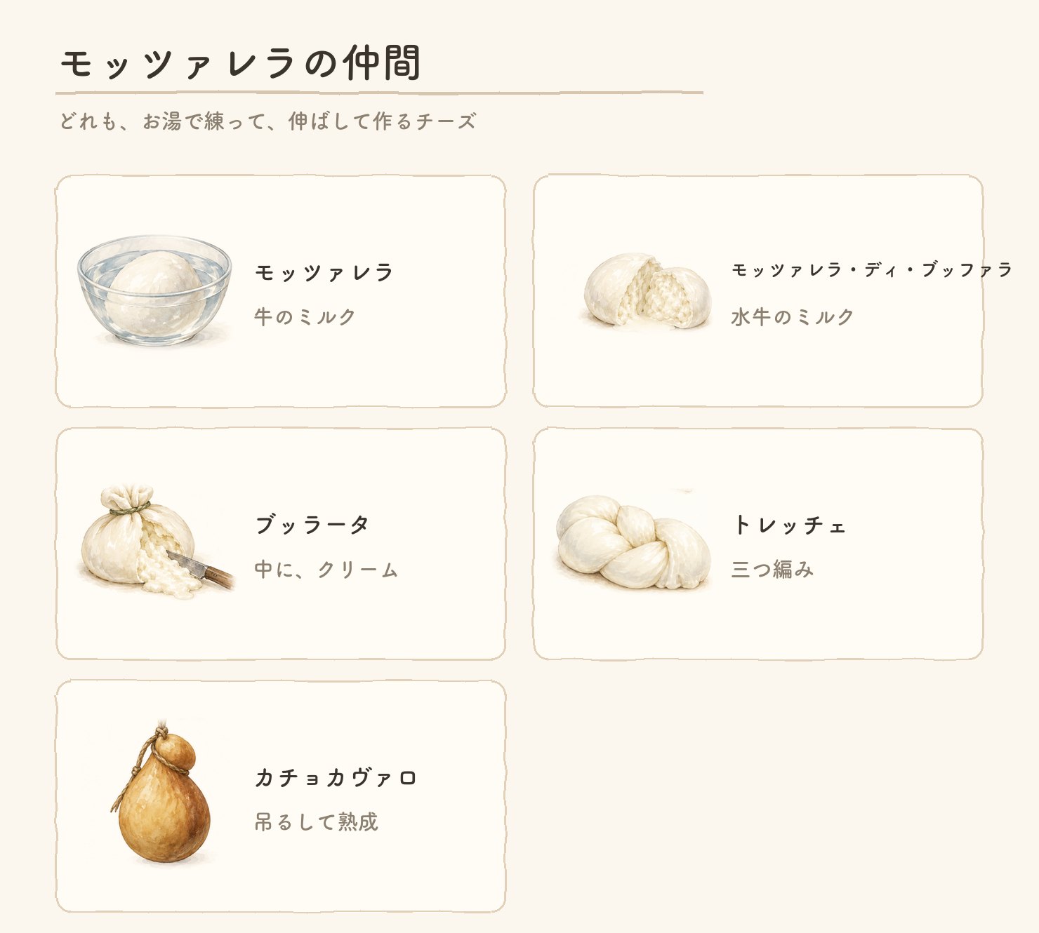 モッツァレラの仲間。牛のモッツァレラ、水牛のモッツァレラ、ブッラータ、トレッチェ、カチョカヴァロ。どれもお湯で練って伸ばすチーズ