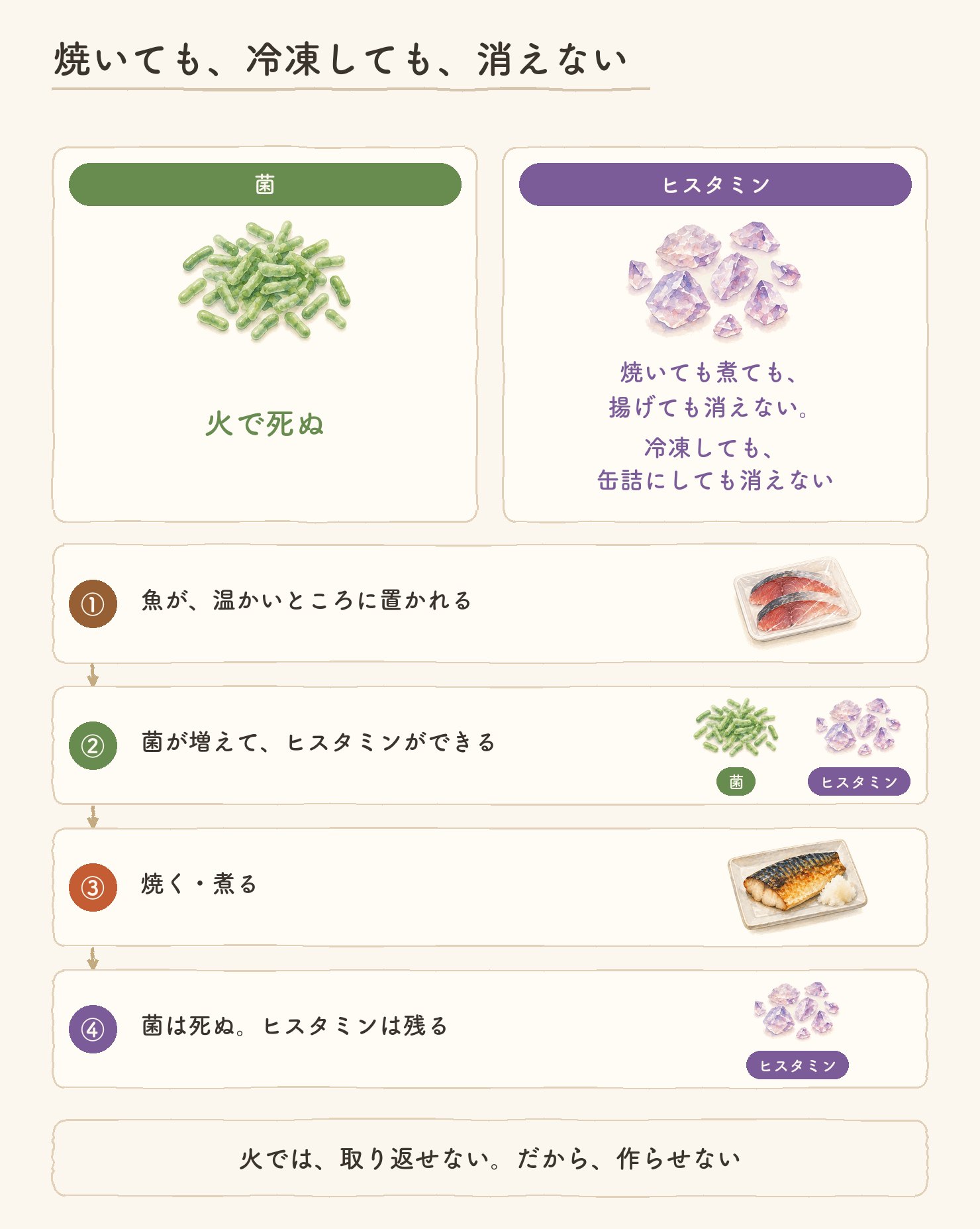 焼いても、冷凍しても、消えない。菌は火で死ぬ。ヒスタミンは焼いても煮ても揚げても、冷凍しても缶詰にしても消えない。①魚が温かいところに置かれる ②菌が増えてヒスタミンができる ③焼く・煮る ④菌は死ぬ、ヒスタミンは残る。火では、取り返せない。だから、作らせない