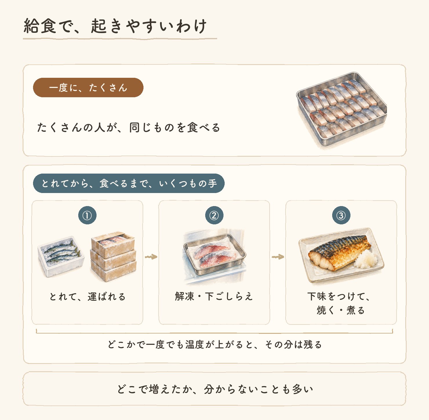 給食で、起きやすいわけ。一度に、たくさん：たくさんの人が同じものを食べる。とれてから食べるまで、いくつもの手：①とれて運ばれる ②解凍・下ごしらえ ③下味をつけて焼く・煮る。どこかで一度でも温度が上がると、その分は残る。どこで増えたか、分からないことも多い