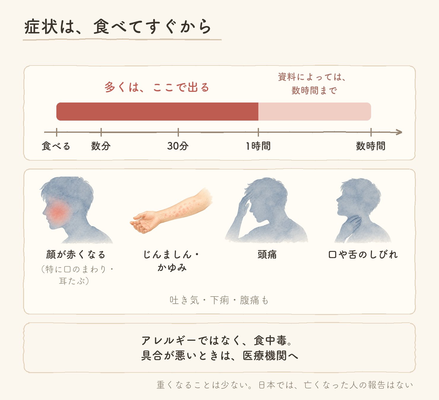 症状は、食べてすぐから。多くは食べてすぐから1時間ほどで出る。資料によっては数時間まで。顔が赤くなる（特に口のまわり・耳たぶ）、じんましん・かゆみ、頭痛、口や舌のしびれ。アレルギーではなく食中毒。具合が悪いときは医療機関へ