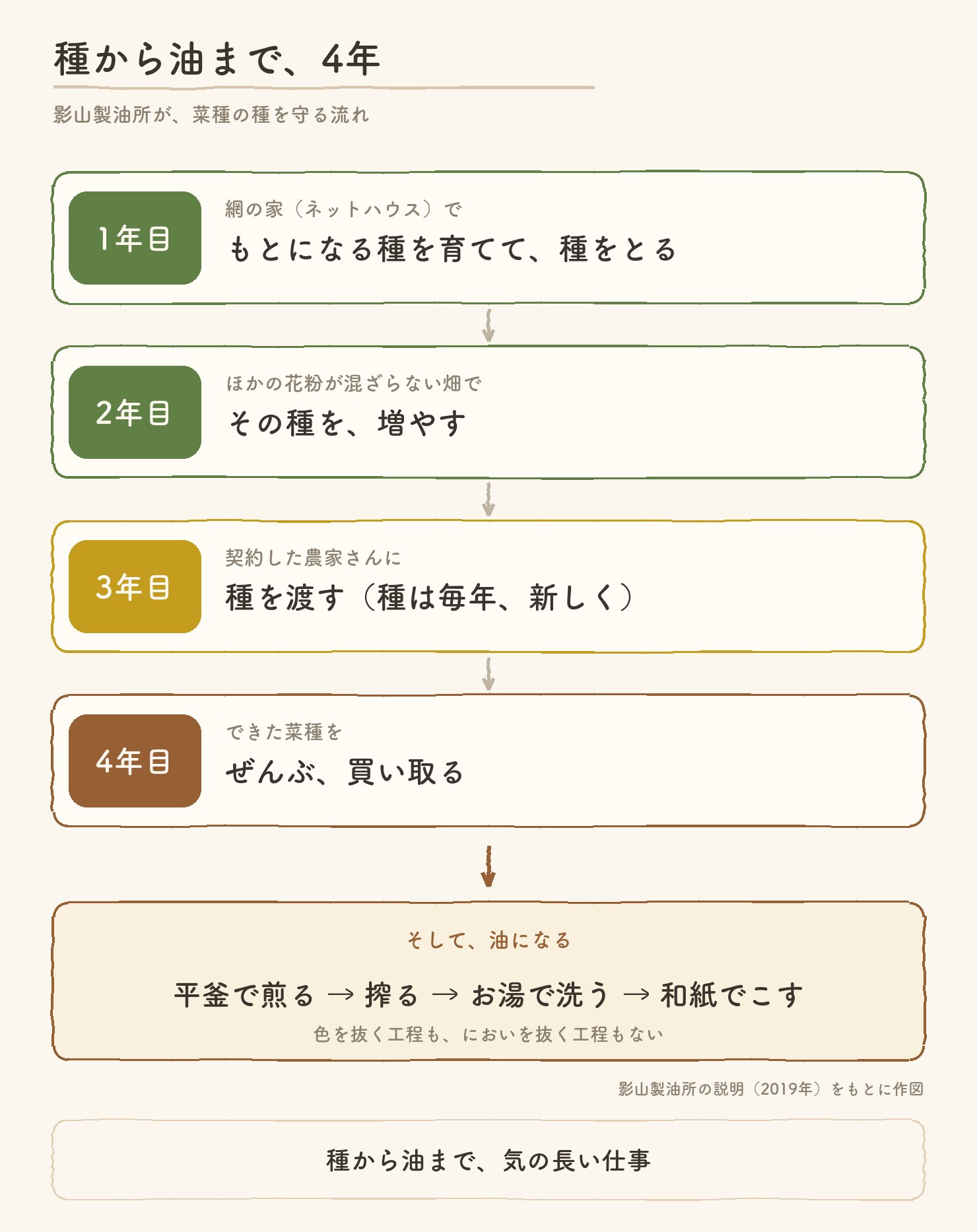 種から油まで4年の流れ。1年目は網の家で種をとる、2年目はほかの花粉が混ざらない畑で増やす、3年目に契約農家に種を渡す、4年目にできた菜種をすべて買い取る。そのあと平釜で煎り、搾り、お湯で洗い、和紙でこして油になる