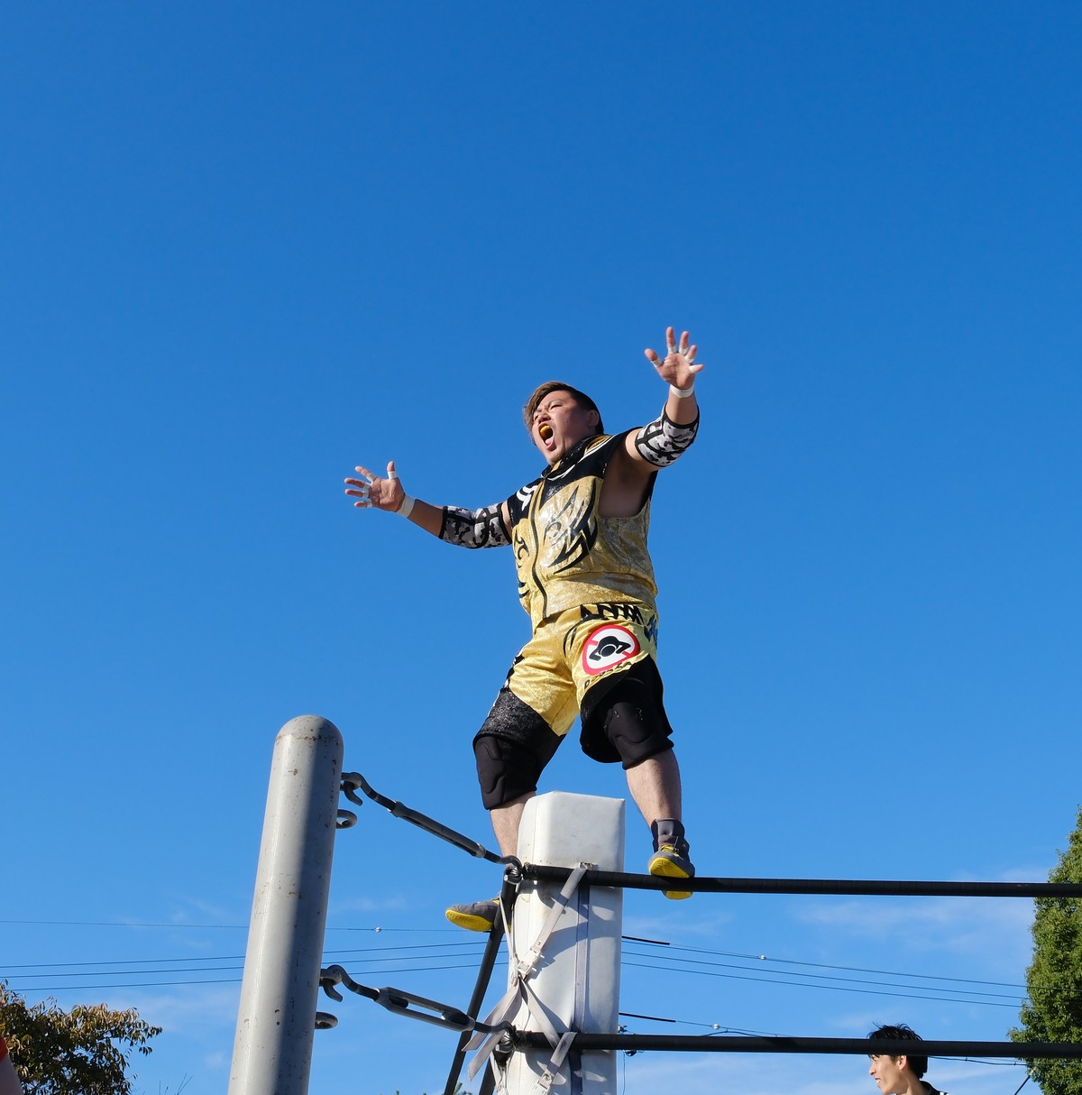 黄色と黒の衣装で、コーナーポストの上で両手を広げる駿之介選手