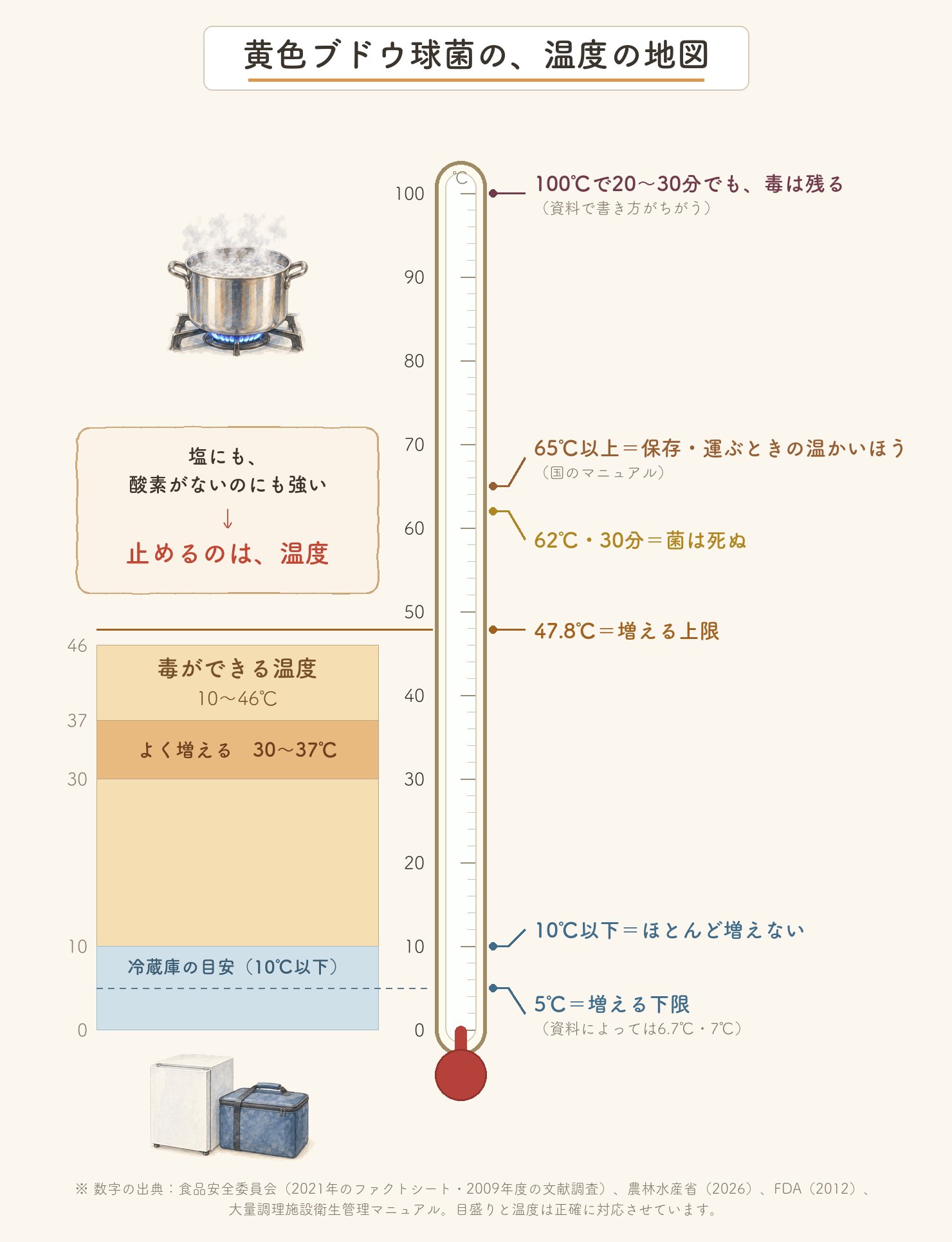 黄色ブドウ球菌の、温度の地図。0〜100℃の縦の温度計。100℃で20〜30分でも、毒は残る(資料で書き方がちがう)。65℃以上=保存・運ぶときの温かいほう(国のマニュアル)。62℃・30分=菌は死ぬ。47.8℃=増える上限。毒ができる温度は10〜46℃、よく増えるのは30〜37℃。10℃以下=ほとんど増えない(冷蔵庫の目安)。5℃=増える下限(資料によっては6.7℃・7℃)。塩にも、酸素がないのにも強い。止めるのは、温度。出典は食品安全委員会(2021年のファクトシート・2009年度の文献調査)、農林水産省(2026)、FDA(2012)、大量調理施設衛生管理マニュアル