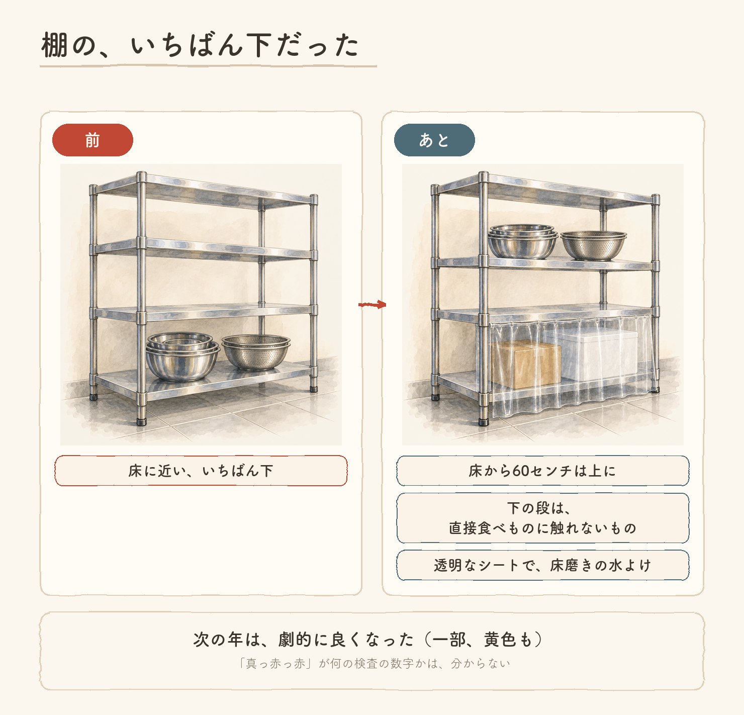 棚の、いちばん下だった。前:床に近い、いちばん下の段にボウルとざる。あと:床から60センチは上に。下の段は、直接食べものに触れないもの。透明なシートで、床磨きの水よけ。次の年は、劇的に良くなった(一部、黄色も)。「真っ赤っ赤」が何の検査の数字かは、分からない。棚の前とあとの水彩2枚