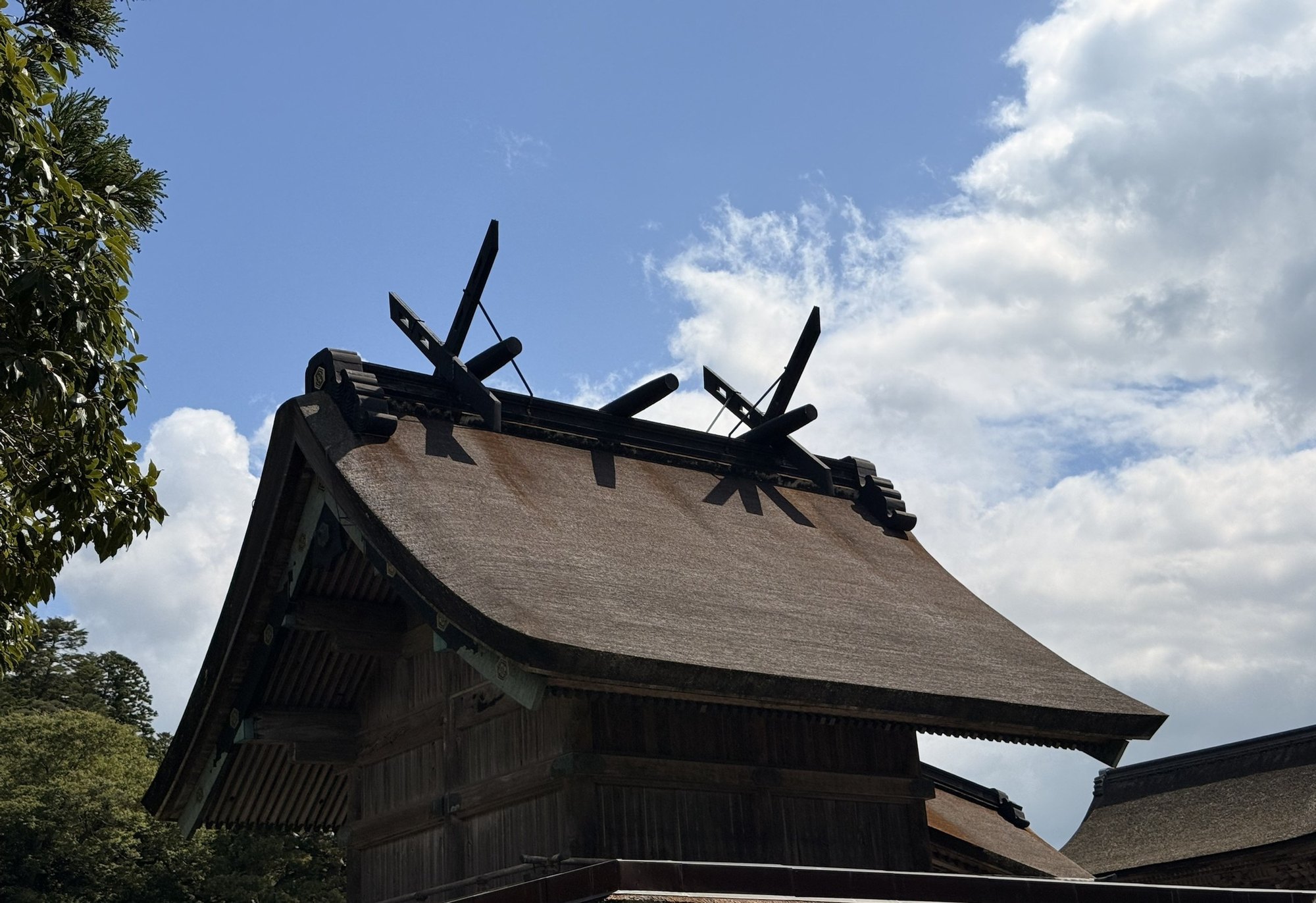 出雲大社本殿の屋根と、空に突き出た千木