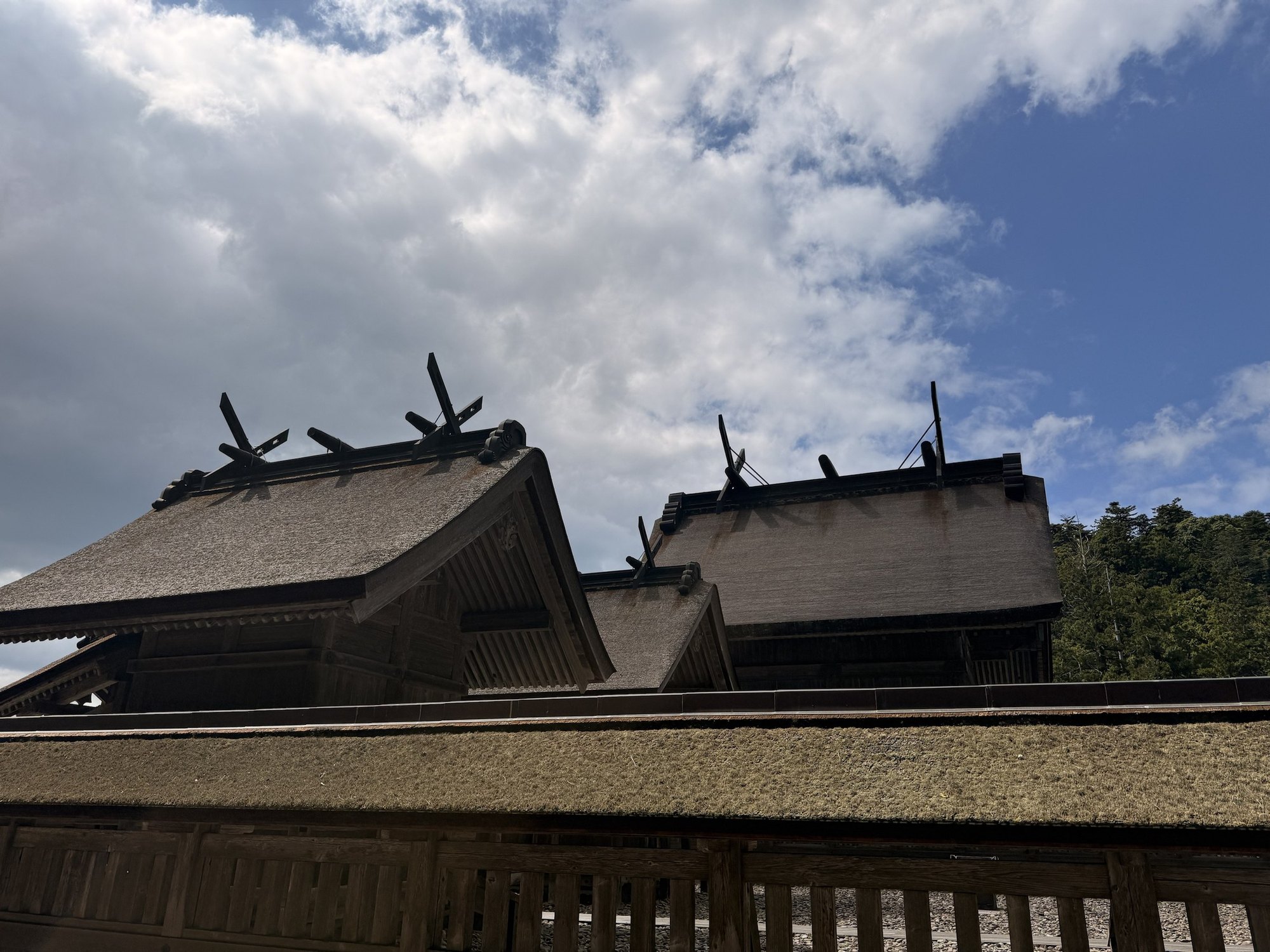 瑞垣の外から見た、出雲大社本殿とまわりの社の屋根