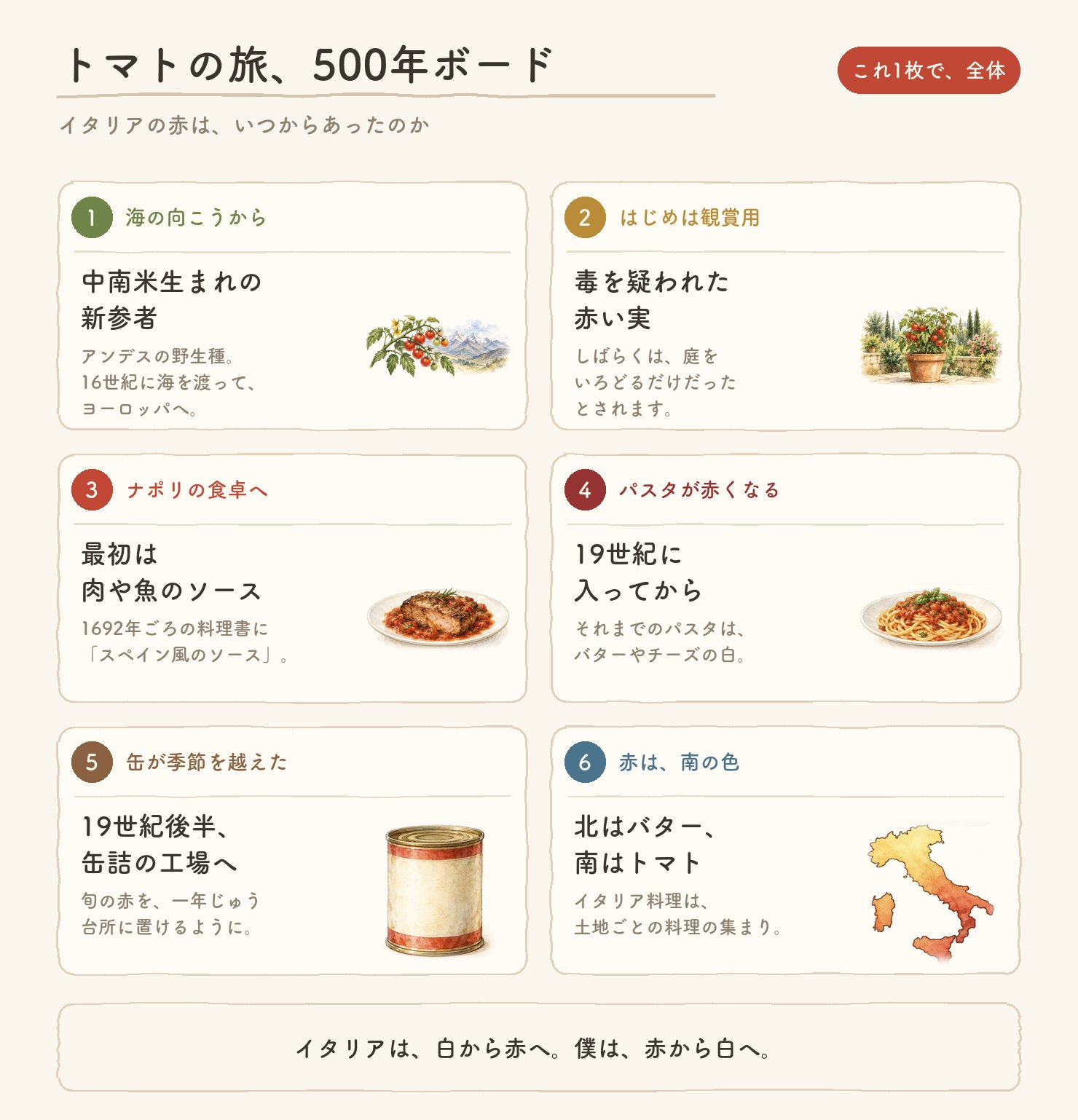 トマトの旅、500年ボード。中南米生まれ、はじめは観賞用、ナポリの食卓へ、19世紀にパスタが赤くなる、19世紀後半に缶詰の工場へ、赤は南の色
