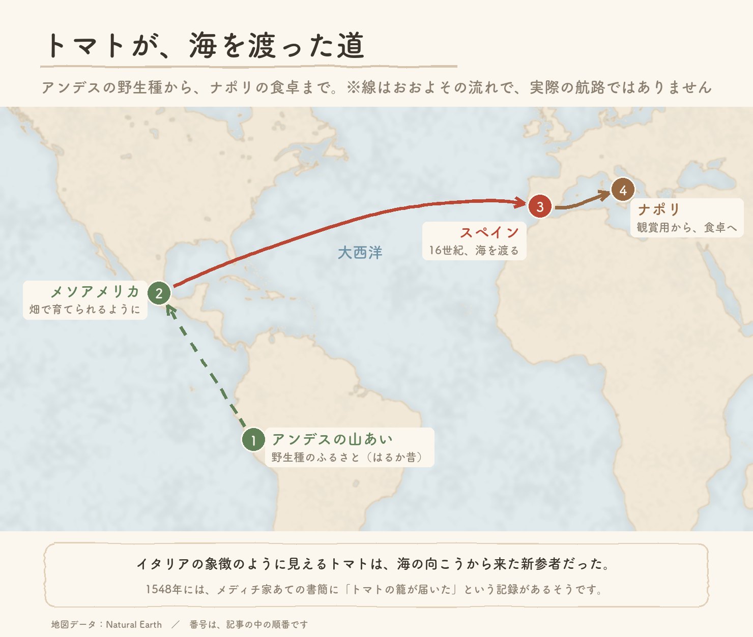 トマトが海を渡った道の地図。アンデス、メソアメリカ、スペイン、ナポリの順